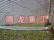 大棚花卉供暖設(shè)備、大棚卉采暖設(shè)備、大棚花卉取暖設(shè)備